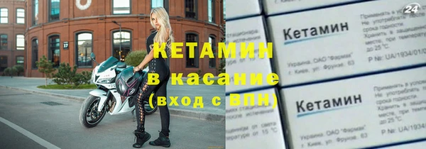 хмурый Верея