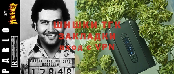 хмурый Верея