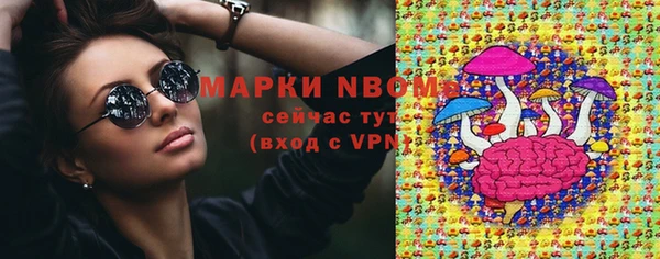 хмурый Верея