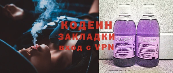 хмурый Верея