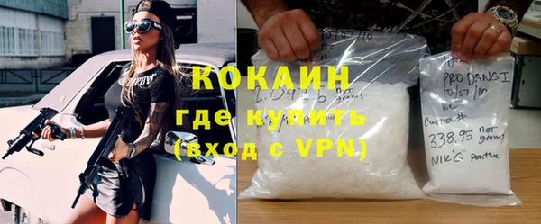 хмурый Верея