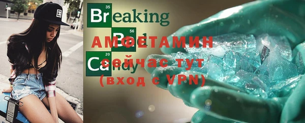хмурый Верея