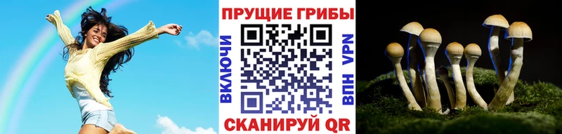Псилоцибиновые грибы мухоморы  купить  цена  Воткинск 